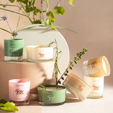  FRENCH VANILLA YATAY MUM