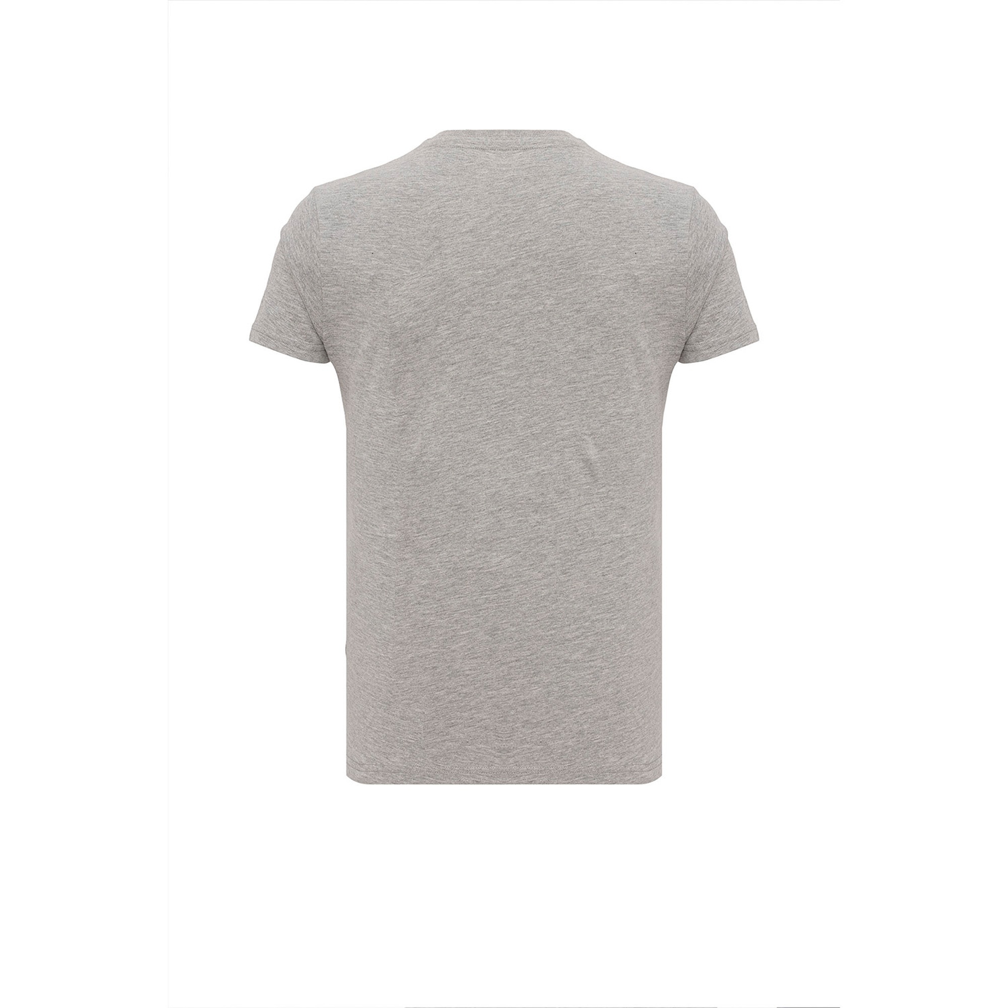 Routefield Taft Erkek Gri Tişört