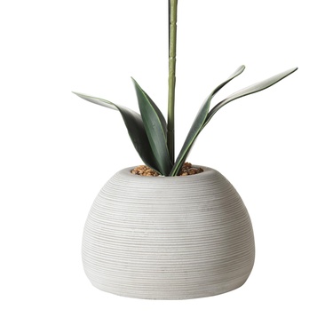  RIVA SAKSILI ORKİDE 53 CM