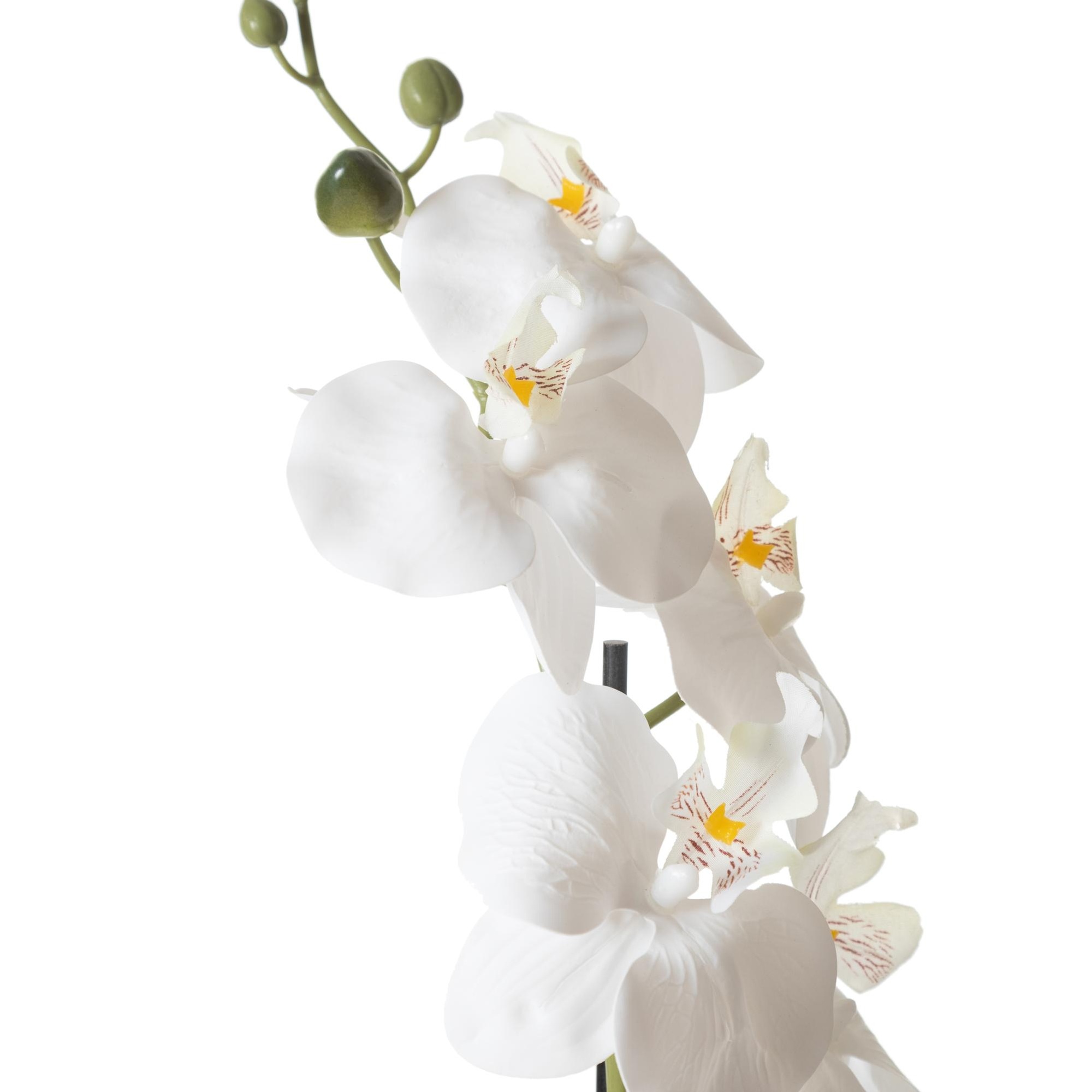 RIVA SAKSILI ORKİDE 53 CM