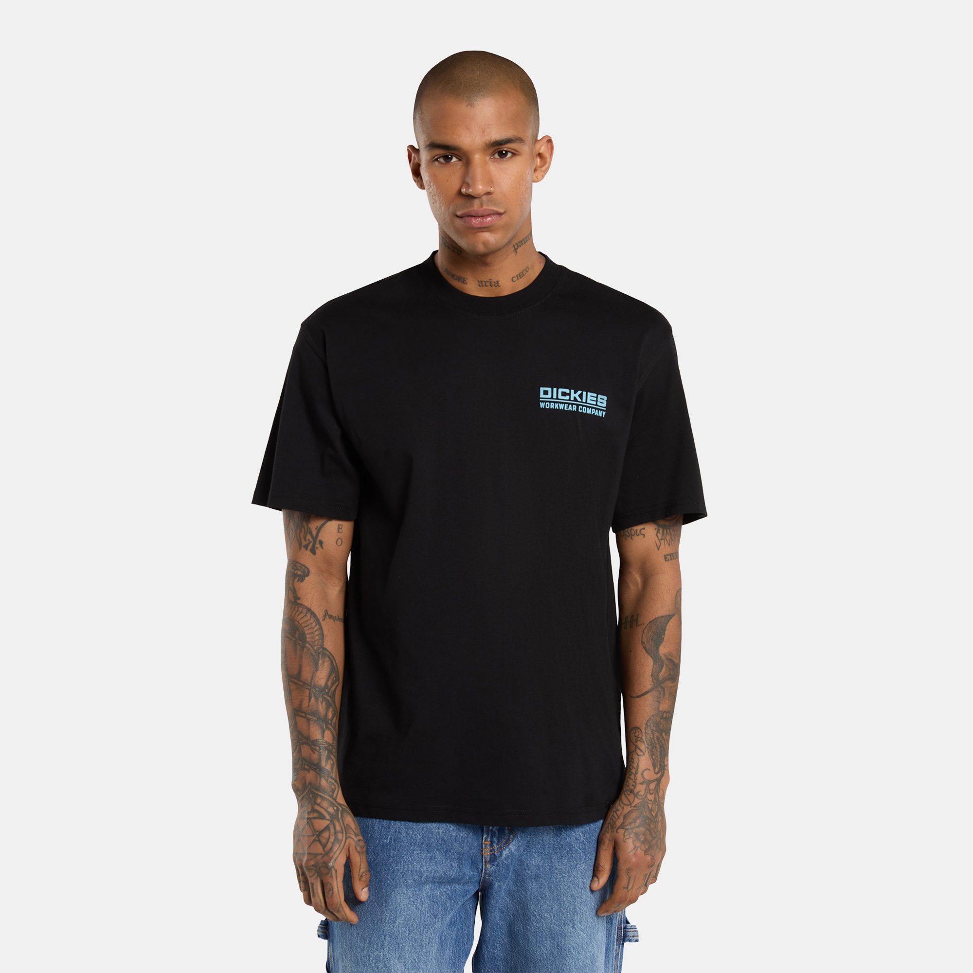 Dickies Bolivar Erkek Siyah T-Shirt