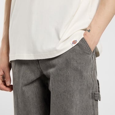  Dickies Burns Erkek Beyaz T-Shirt