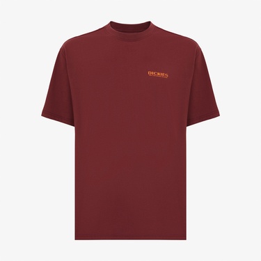  Dickies Bolivar Erkek Siyah T-Shirt