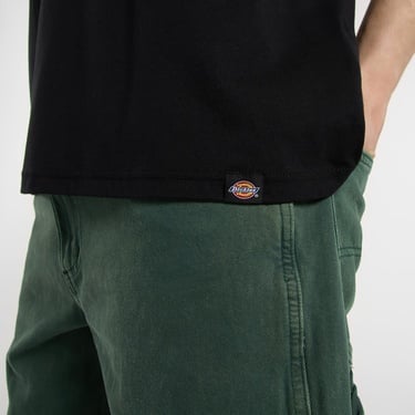  Dickies Burns Erkek Siyah T-Shirt