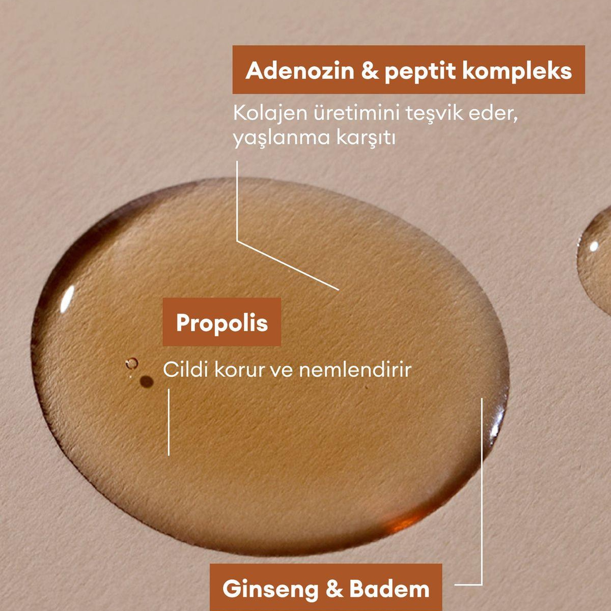 Village 11 Factory N Skin Formula Toner 250ml - Nem Bombası, Besleyici, Dolgunlaştırıcı Ginseng Adenozin Propolis Tonik