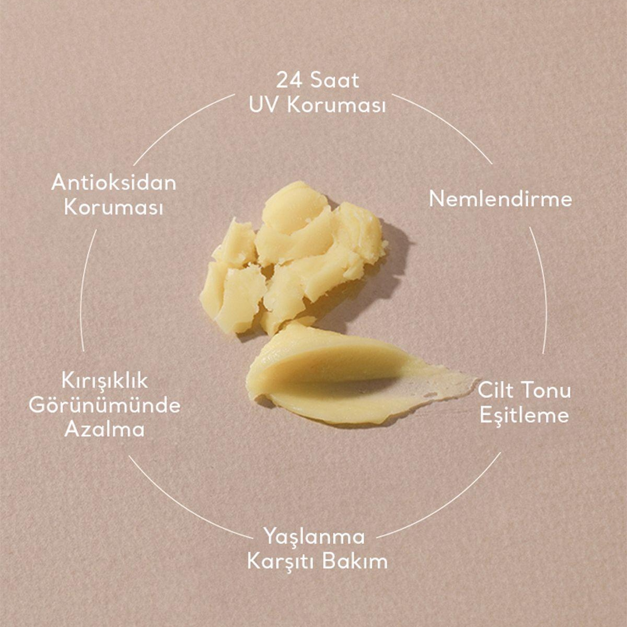 Village 11 Factory Daily Fresh Sun Stick SPF50+ PA++++ 20g - Yüksek UV Korumalı E Vitamini Nemlendirici Vegan Stick Güneş Koruyucu