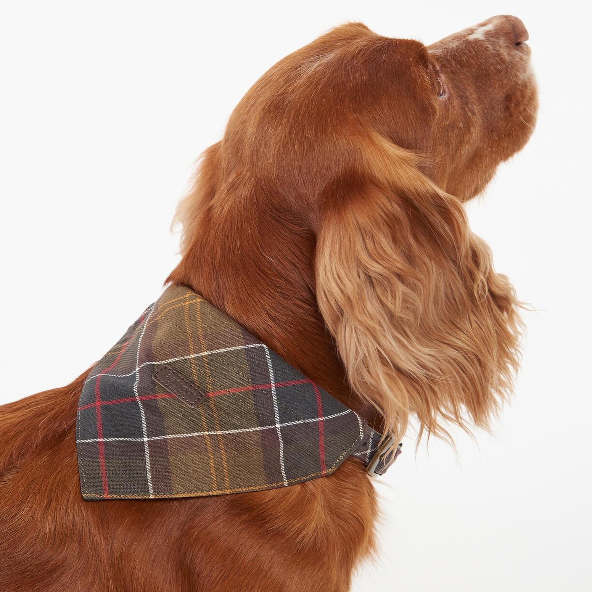 Barbour Tartan Köpek Bandanası