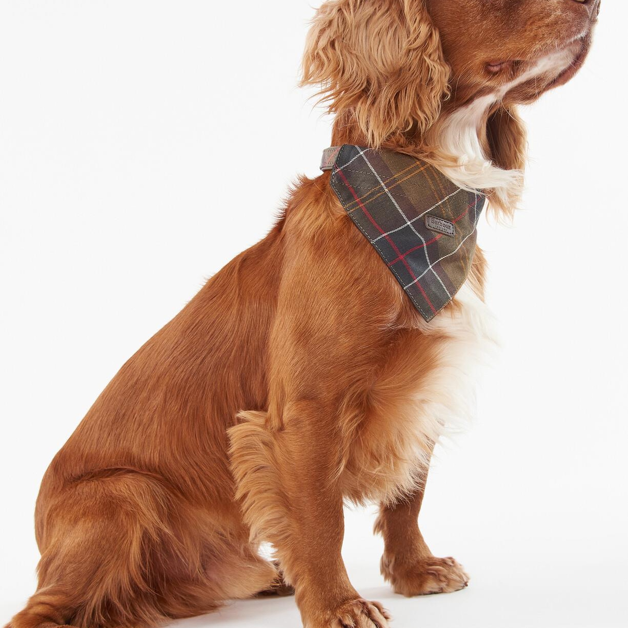 Barbour Tartan Köpek Bandanası