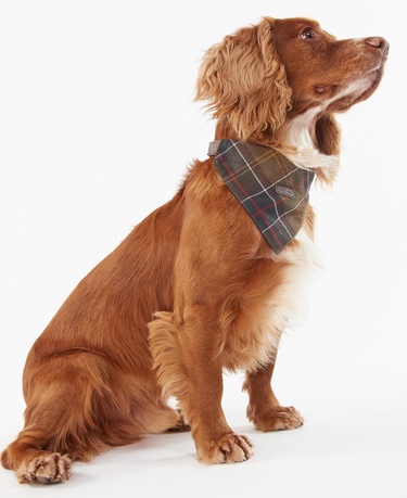  Barbour Tartan Köpek Bandanası