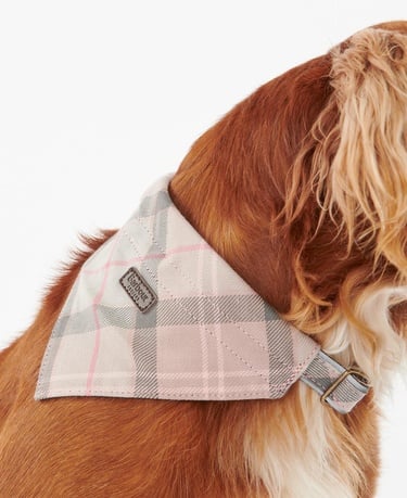  Barbour Tartan Köpek Bandanası