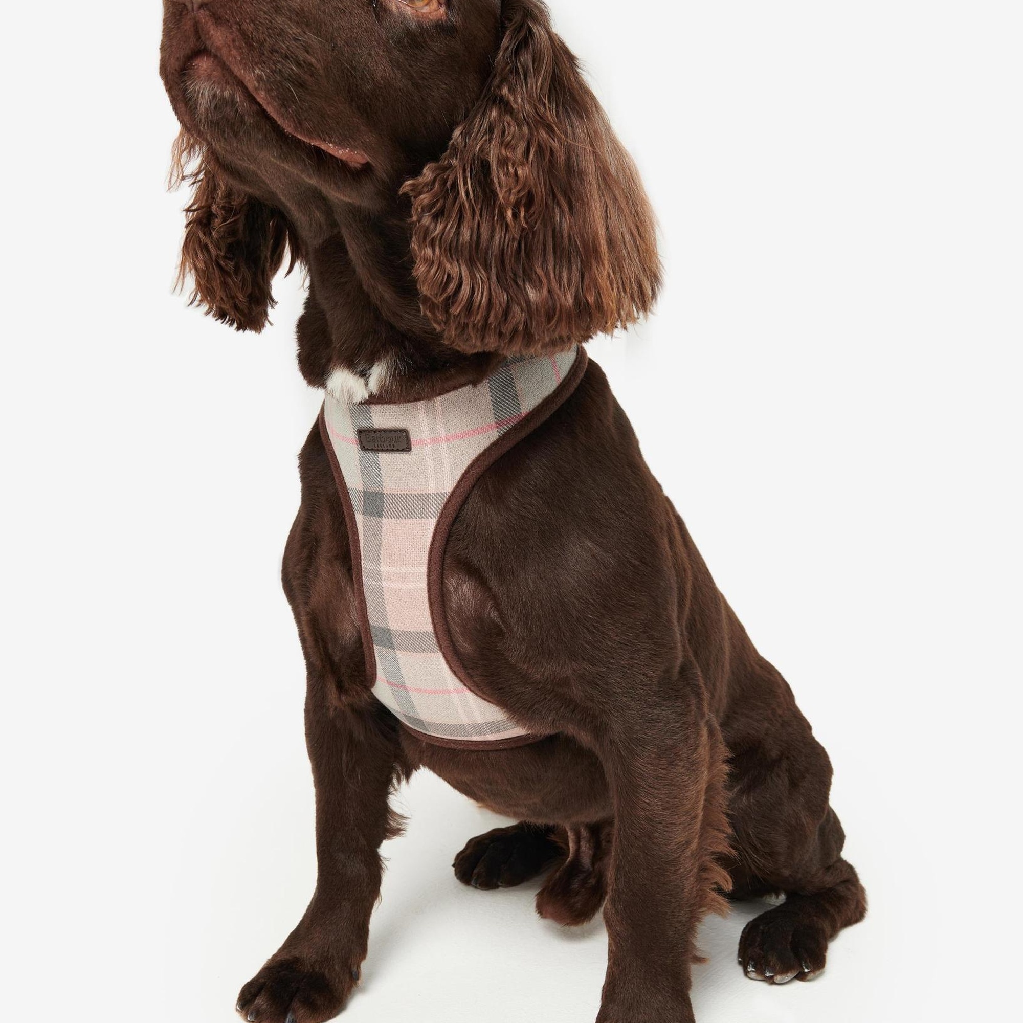 Barbour Tartan Köpek Göğüs Tasması