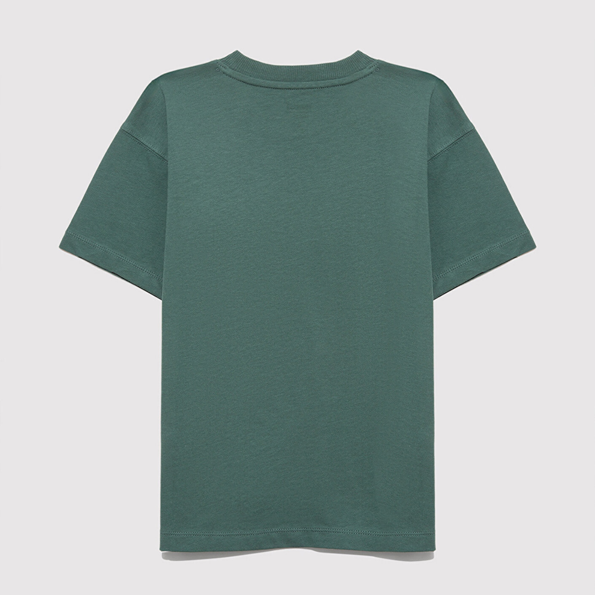 Mavi Mavi Since 1991 Baskılı Yeşil Tişört Loose Fit / Bol Rahat Kesim 6610369-71930