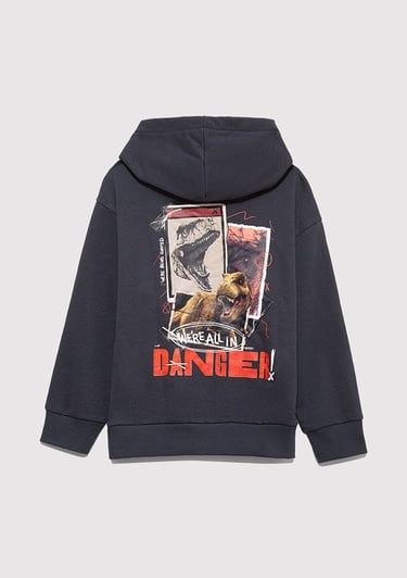  Mavi Jurassic Park Baskılı Antrasit Sweatshirt 6S10135-70087