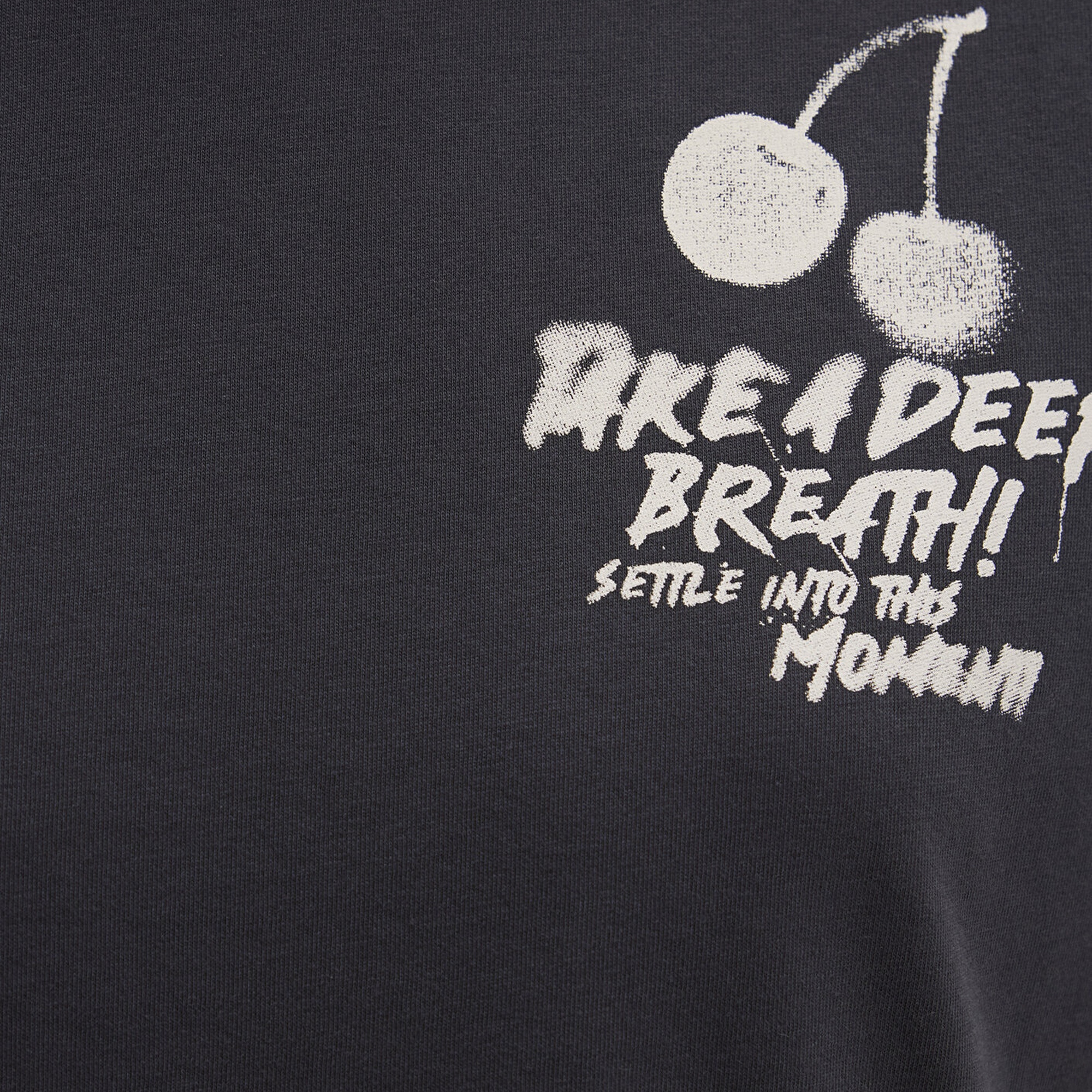 Mavi Baskılı Antrasit Tişört Regular Fit / Normal Kesim 1613484-70087