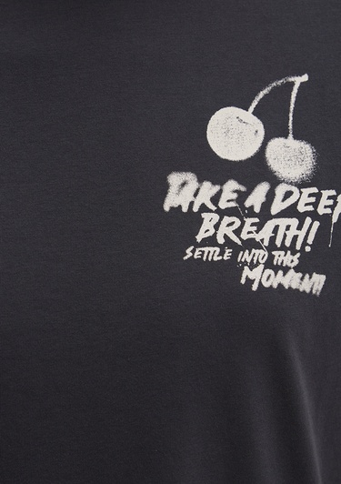  Mavi Baskılı Antrasit Tişört Regular Fit / Normal Kesim 1613484-70087