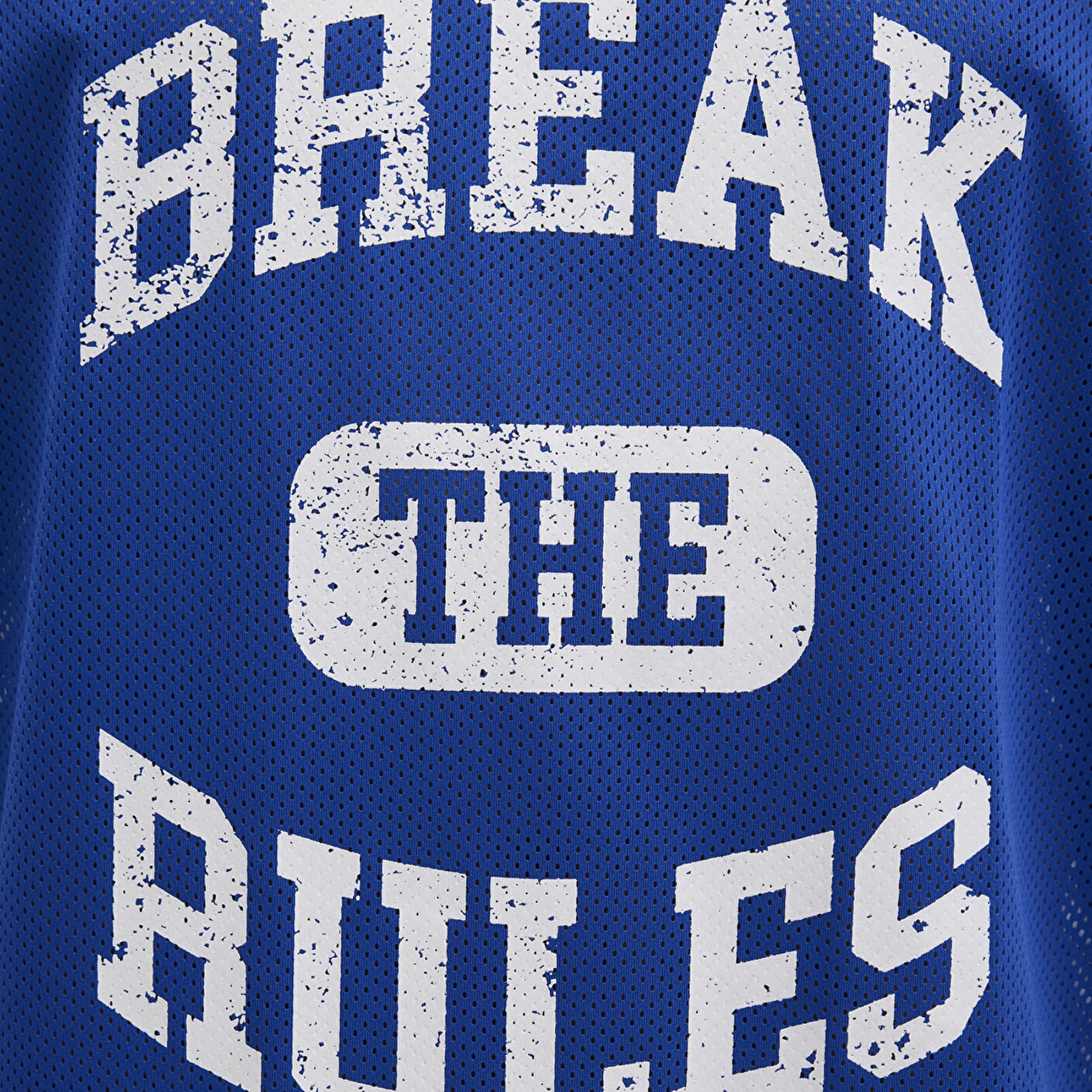 Mavi Baskılı Mavi Tişört Relaxed Fit / Rahat Kesim 0612849-70907