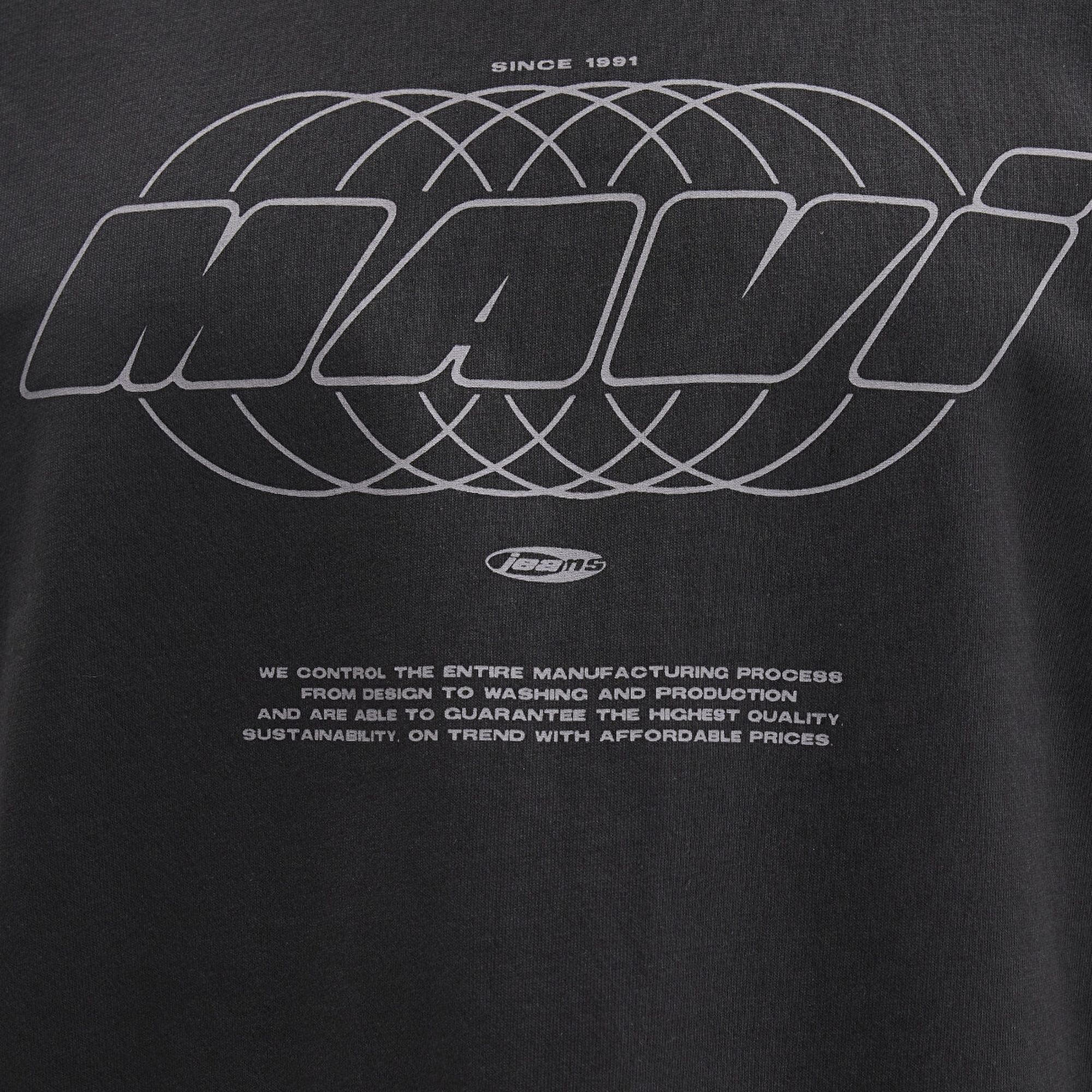 Mavi Mavi Baskılı Gri Tişört Relaxed Fit / Rahat Kesim 0612911-70090