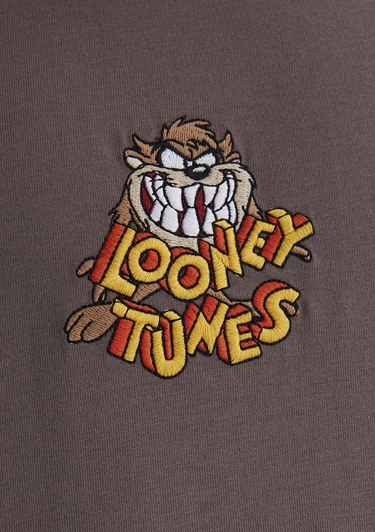  Mavi Tazmanya Canavarı Baskılı Kahverengi Tişört Loose Fit / Bol Rahat Kesim 0612657-70423