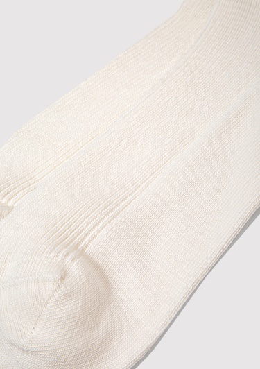  Mavi Beyaz Patik Çorap 1913551-620