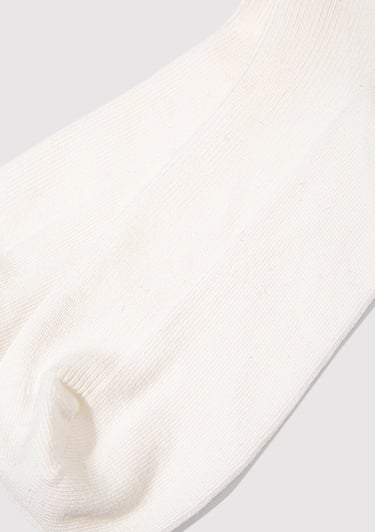  Mavi Beyaz Soket Çorap 1913544-620