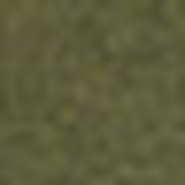  GANT Erkek Yeşil Jogger Fit Pantolon