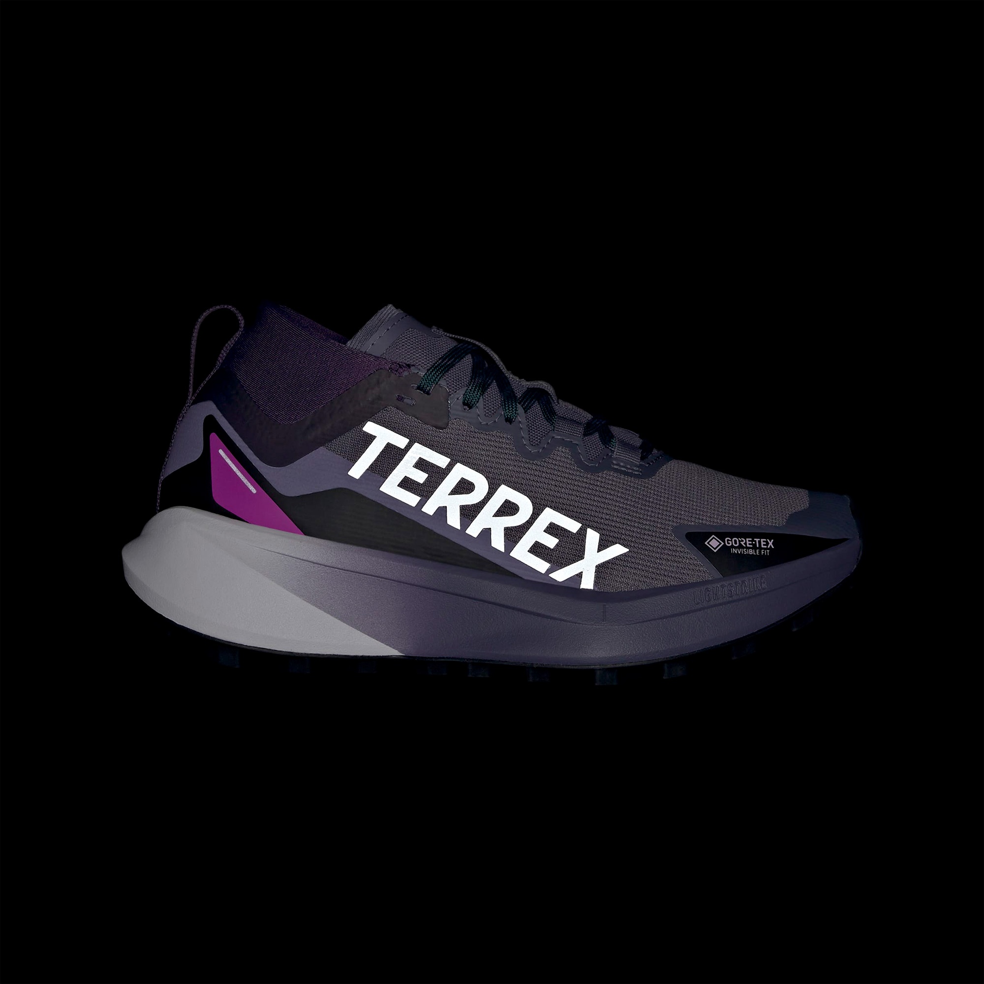 adidas Terrex Agravic Gore-Tex Kadın Mor Koşu Ayakkabısı