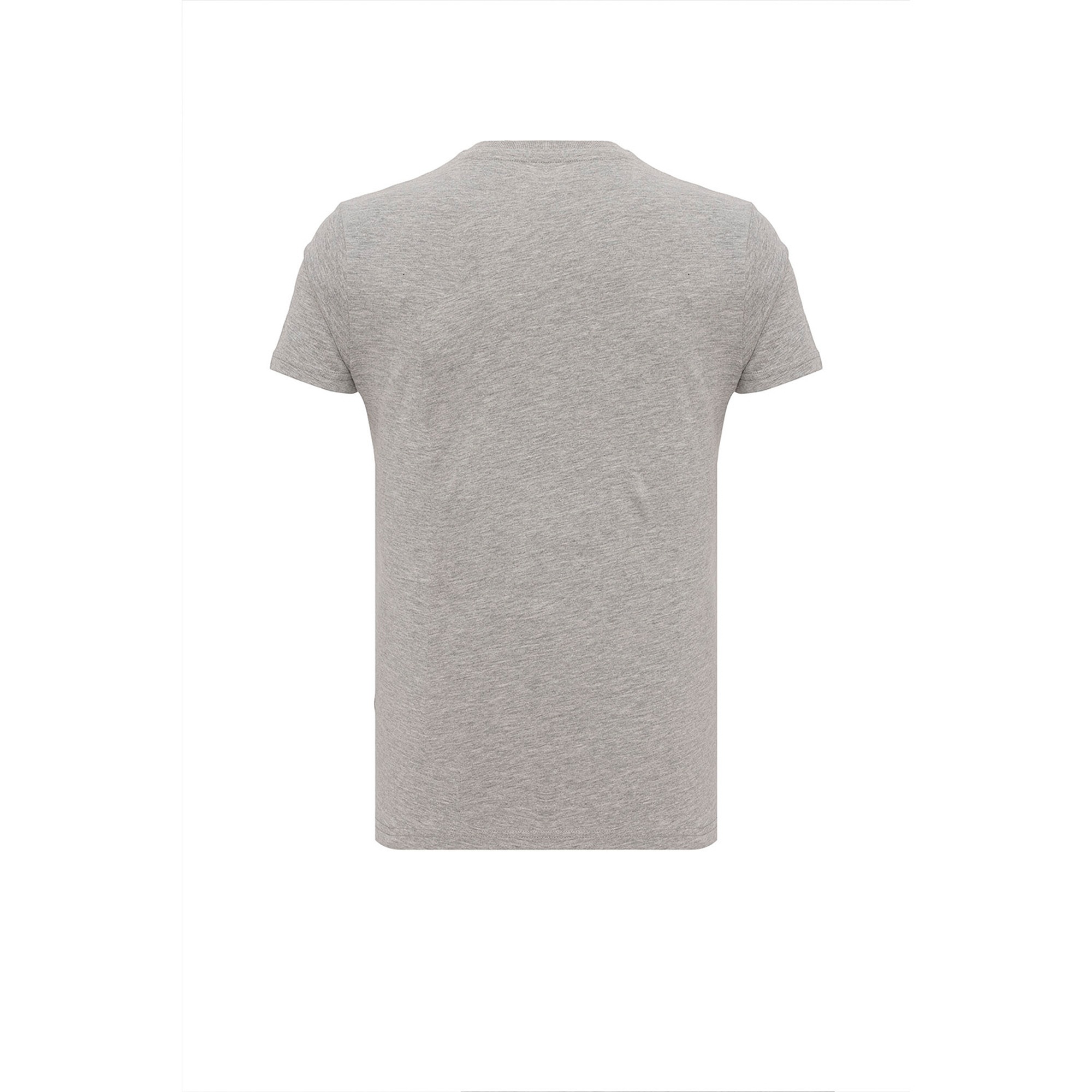 Routefield Thane Erkek Gri Tişört