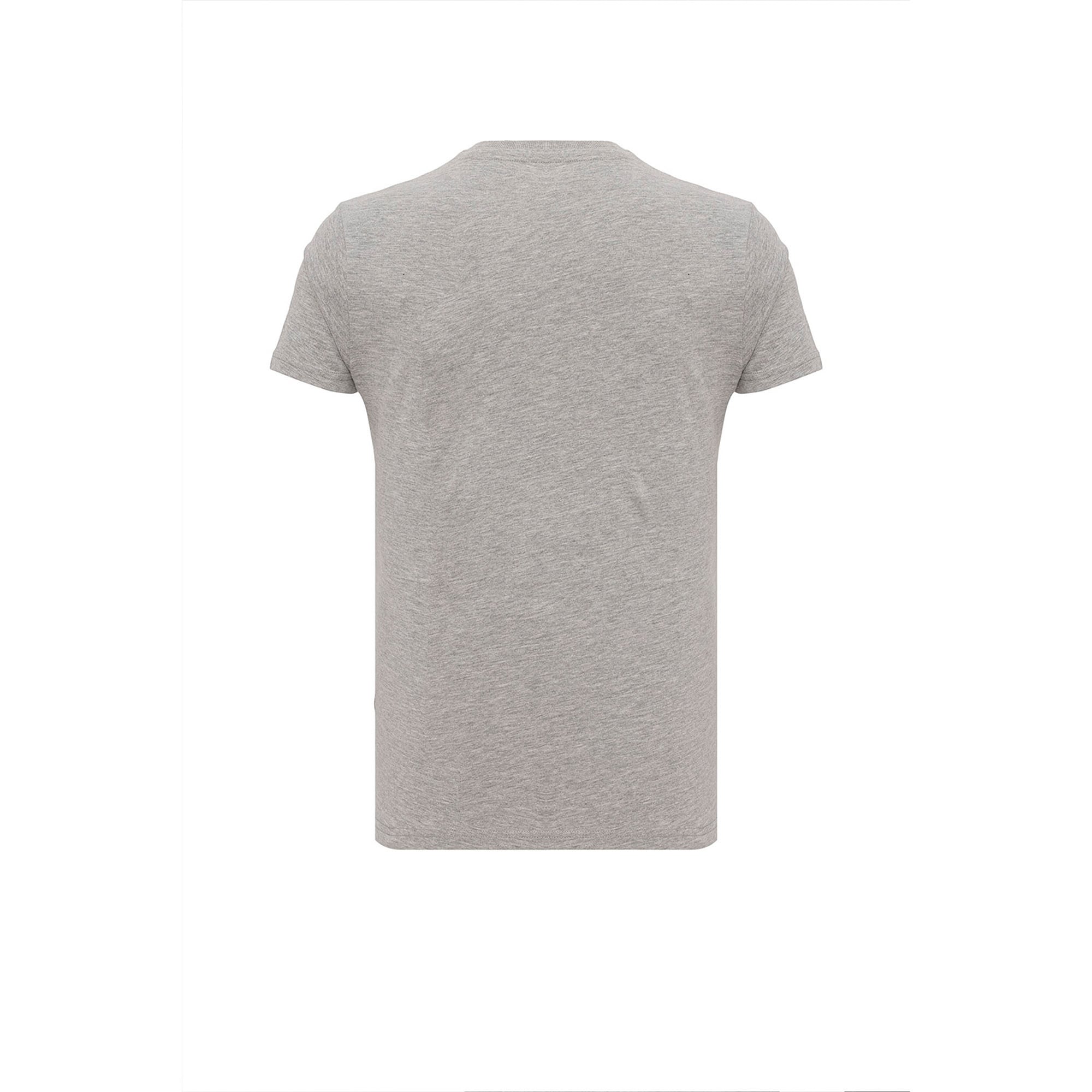 Routefield Truman Erkek Gri Tişört