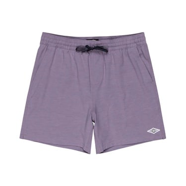  Billabong Every Other Day Lb Erkek Volley Short