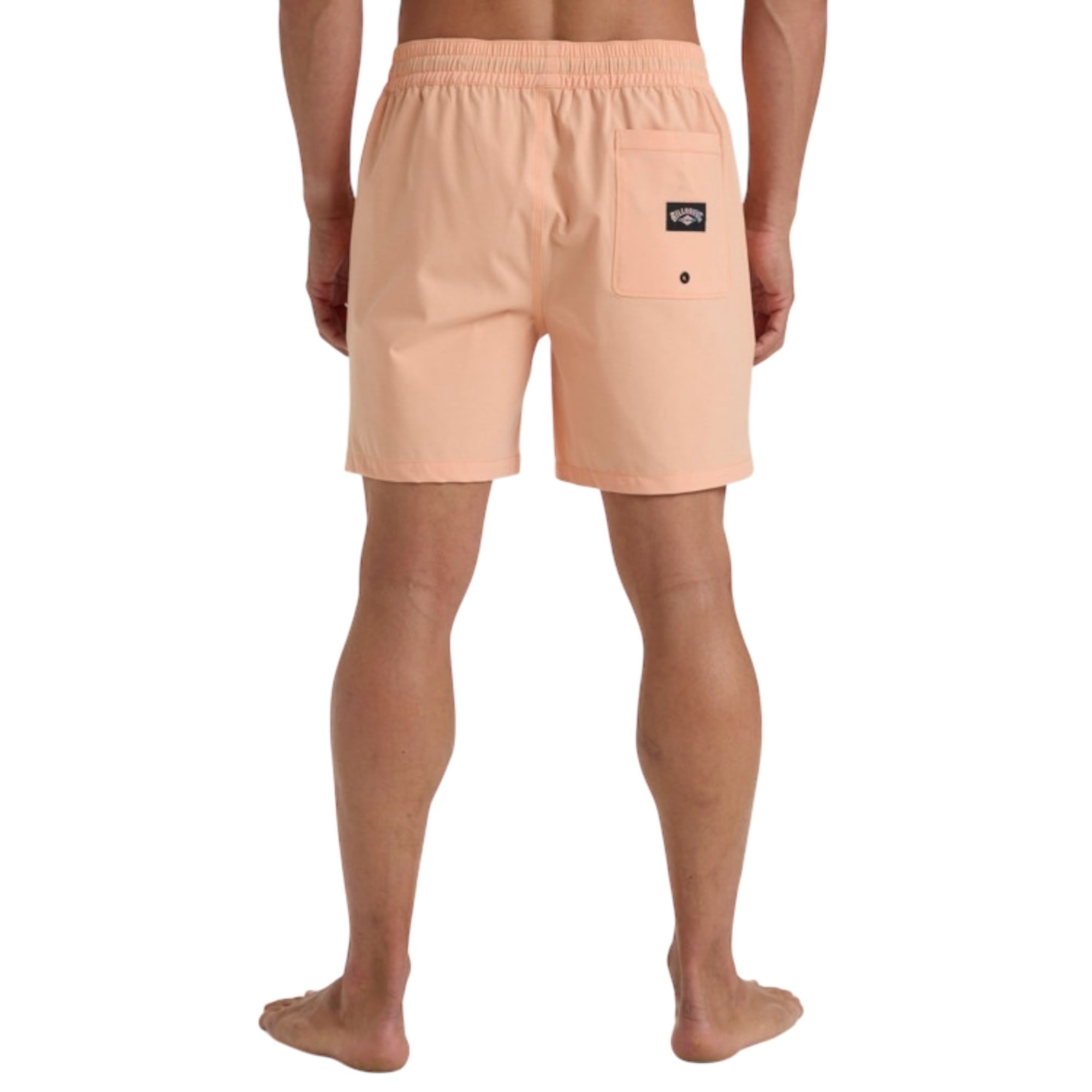 Billabong Every Other Day Lb Erkek Volley Short