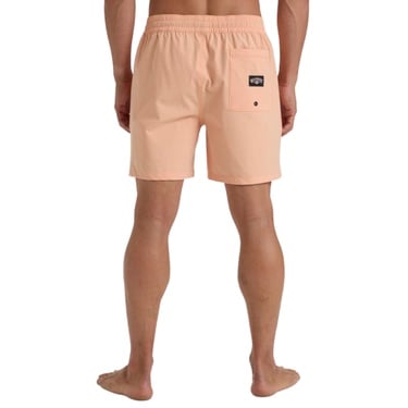  Billabong Every Other Day Lb Erkek Volley Short