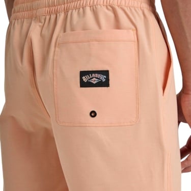  Billabong Every Other Day Lb Erkek Volley Short