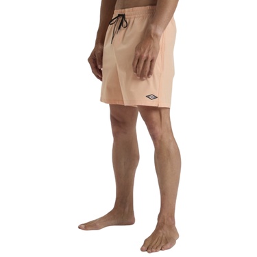  Billabong Every Other Day Lb Erkek Volley Short