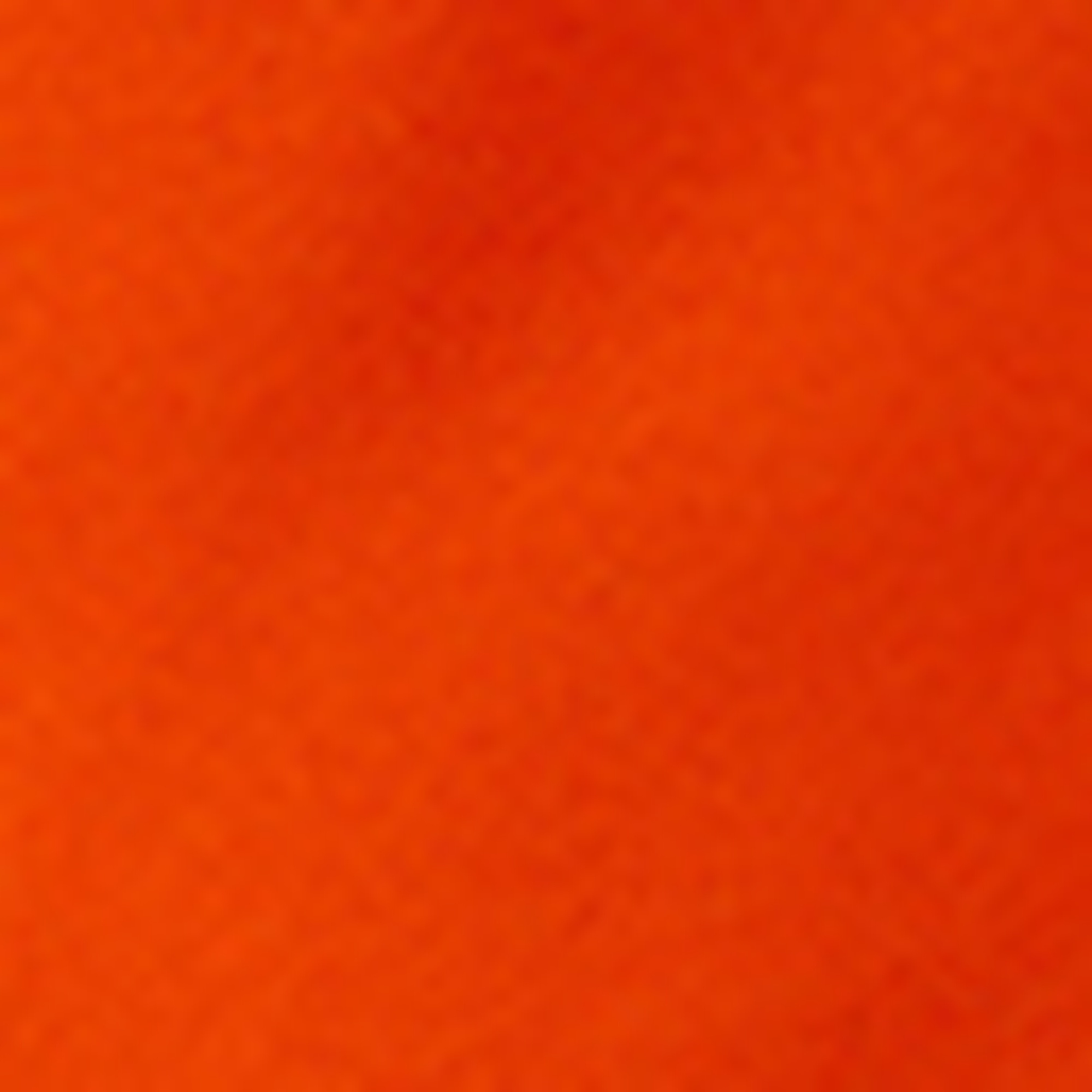 Nautica Erkek Turuncu Regular Fit Deniz Şortu