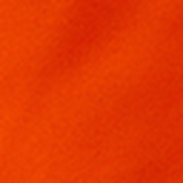  Nautica Erkek Turuncu Regular Fit Deniz Şortu