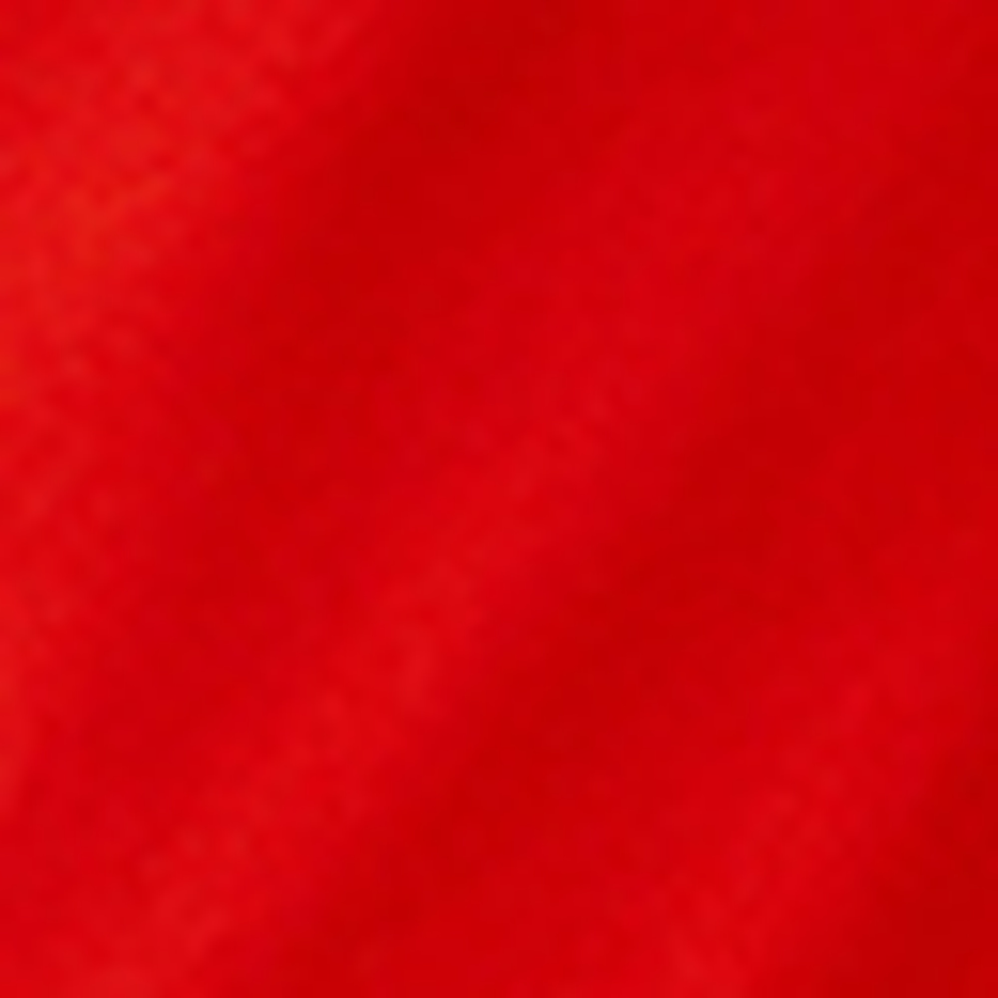 Nautica Erkek Kırmızı Regular Fit Deniz Şortu