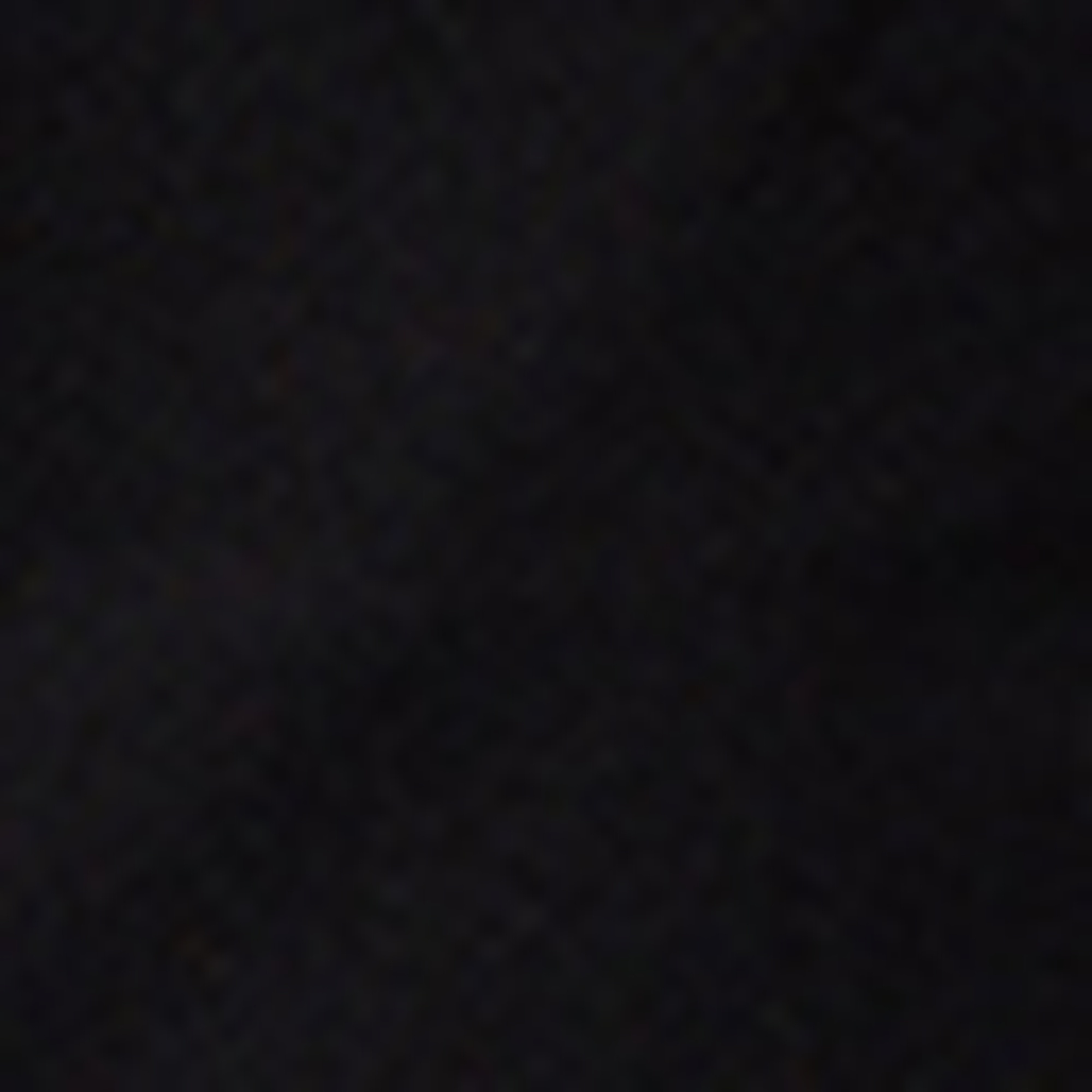 Nautica Erkek Siyah Regular Fit Deniz Şortu