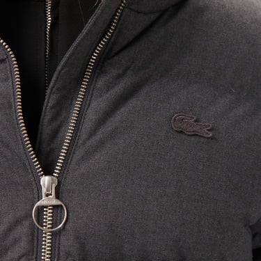  Lacoste Kadın Dik Yaka Koyu Gri Mont