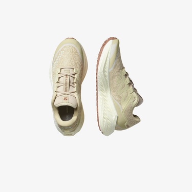  Salomon Aero Glide 3 GRVL Erkek Bej Koşu Ayakkabısı