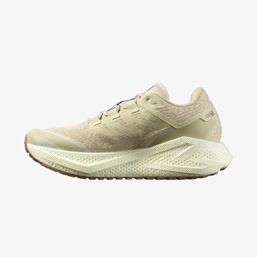  Salomon Aero Glide 3 GRVL Erkek Bej Koşu Ayakkabısı