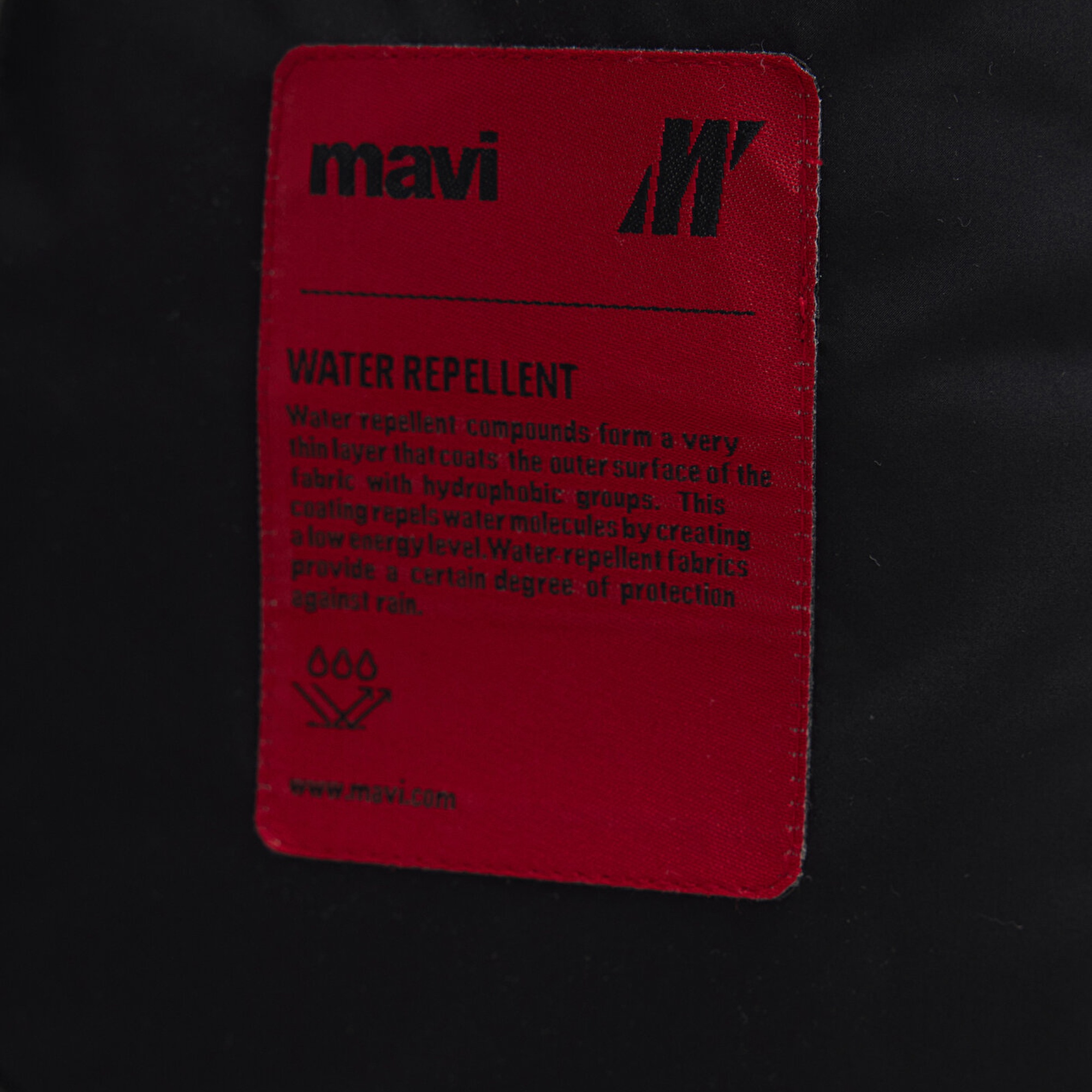 Mavi Siyah Ceket Regular Fit / Normal Kesim 0110615-71379