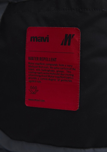  Mavi Siyah Ceket Regular Fit / Normal Kesim 0110615-71379