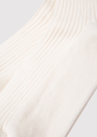  Mavi Beyaz Soket Çorap 1913543-620