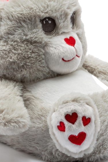  Rabi Çocuk Hayvanlı Panduf Gri 30/35