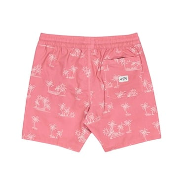  Billabong Sundays Lb Erkek Volley Short