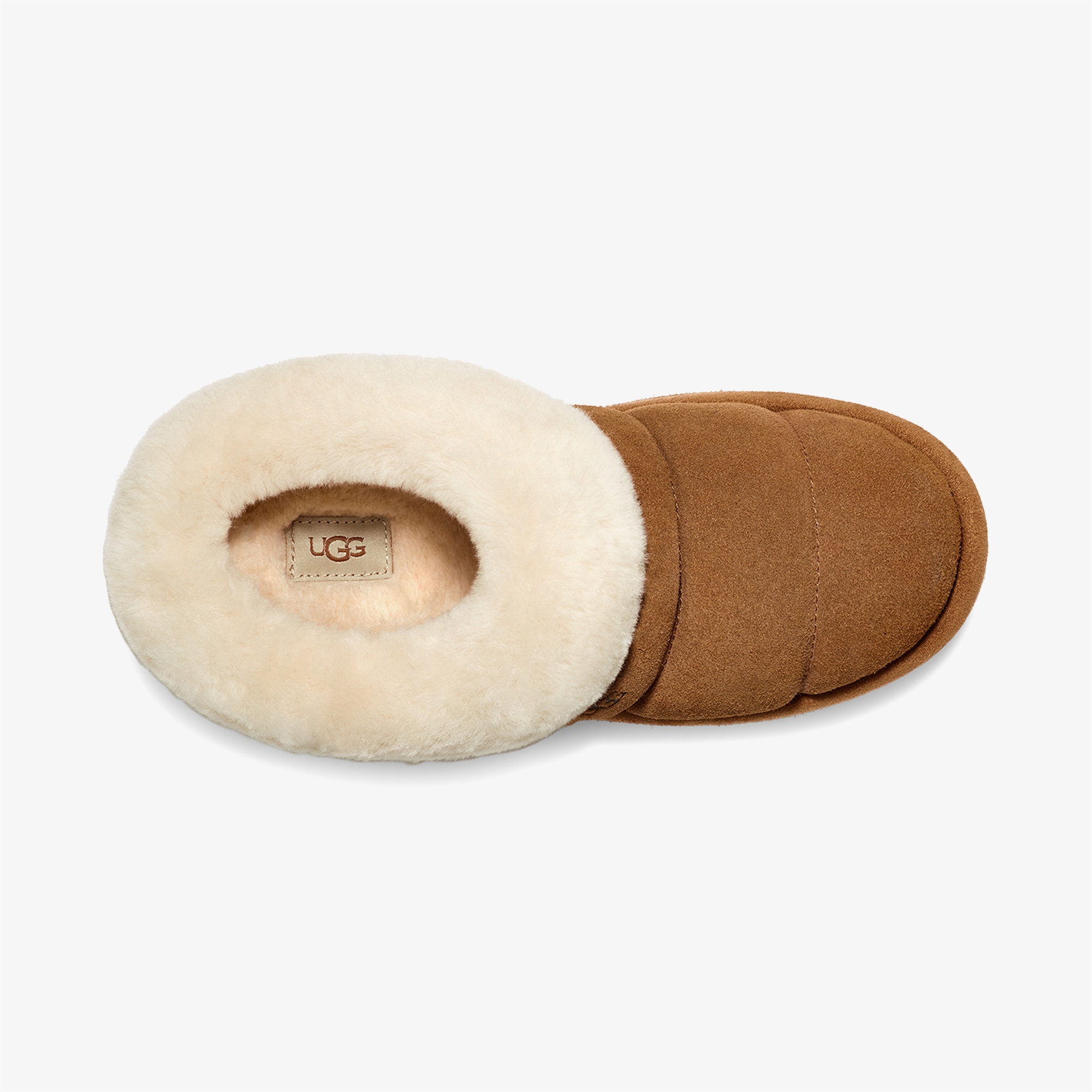 UGG Tazzlıta Kadın Taba Terlik