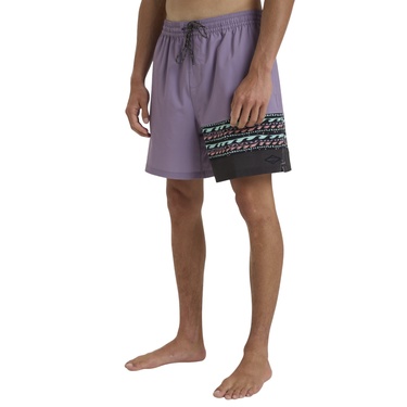  Billabong Burleigh Lb Erkek Mor Volley Short