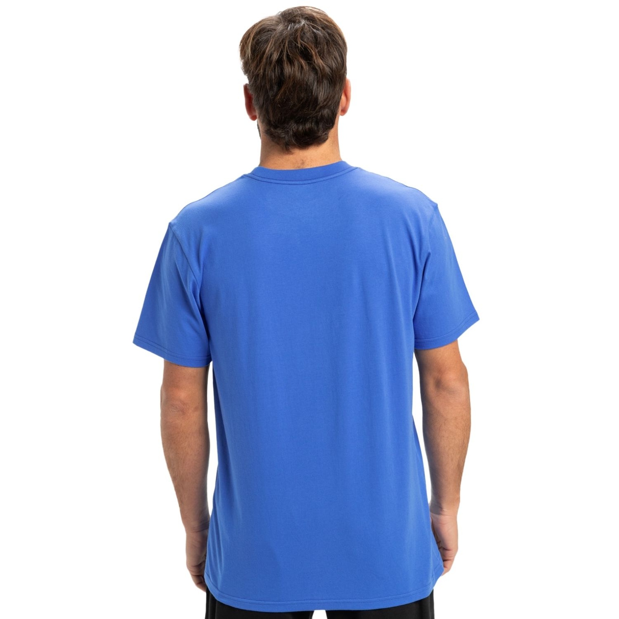 Quiksilver Ev Mini Logo Erkek Tişört