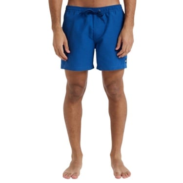  Quiksilver Everyday Deluxe 15 Erkek Volley Short
