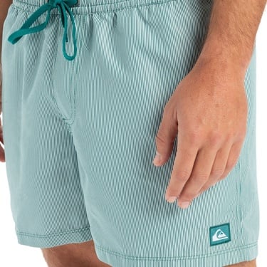  Quiksilver Everyday Deluxe Volley 15 Erkek Yeşil Volley Short